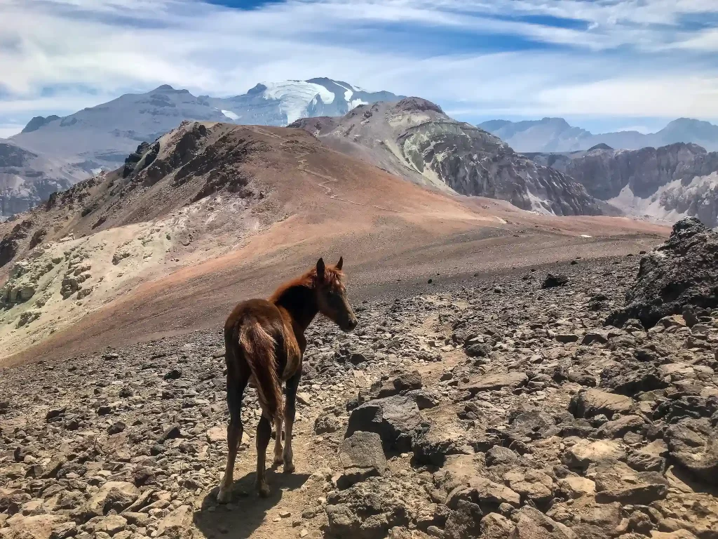 tour trekking andes santiago