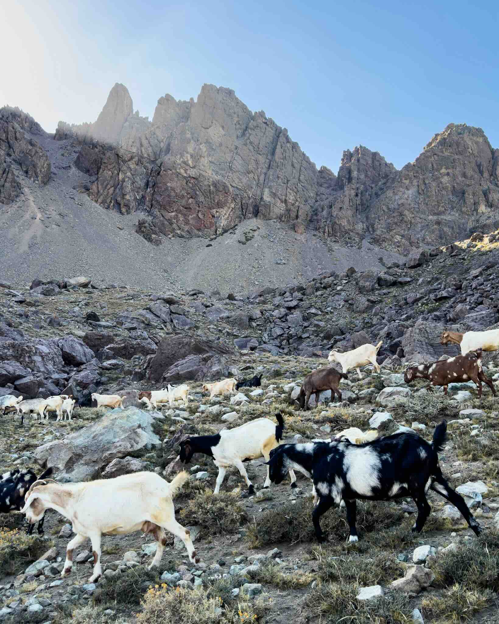 tour cajon del maipo ecordua