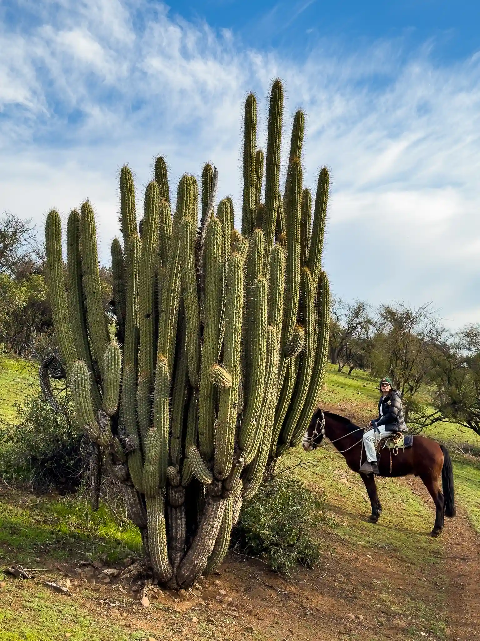 cabalgata santiago chile horseback riding tour santiago chile