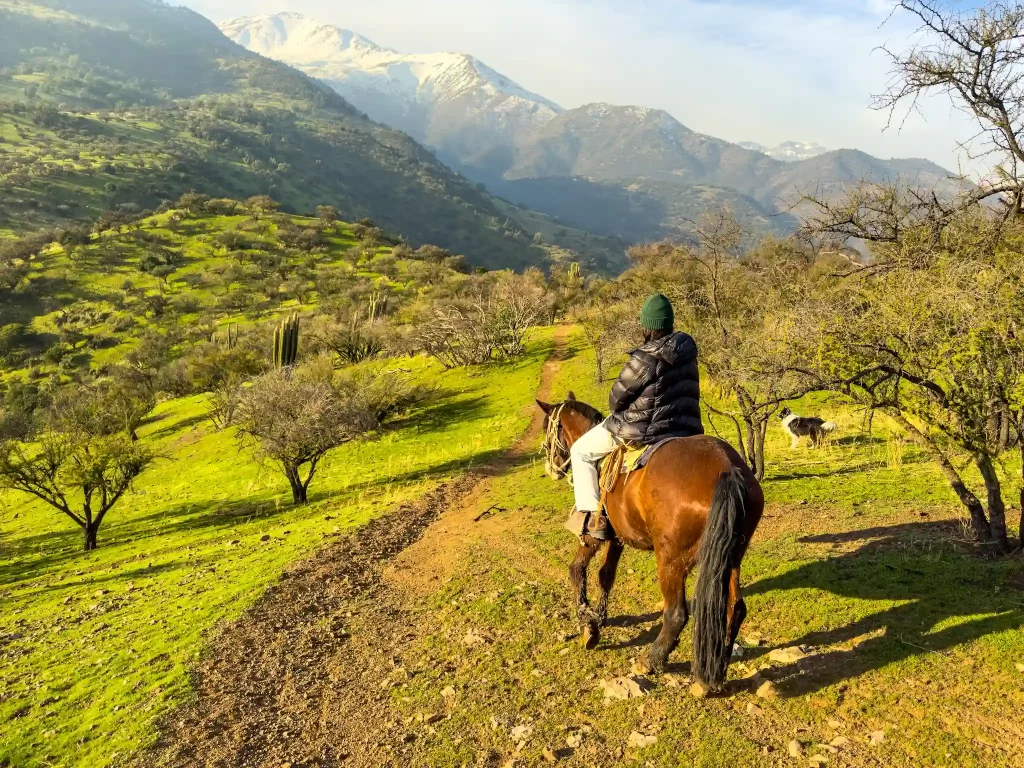 cabalgata santiago chile horseback riding tour santiago chile