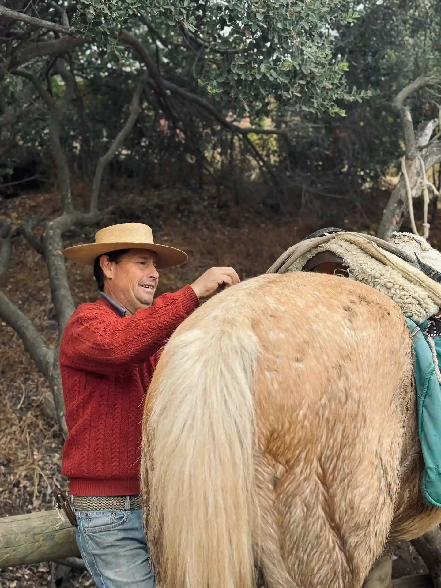 cabalgata santiago chile horseback riding tour santiago chile