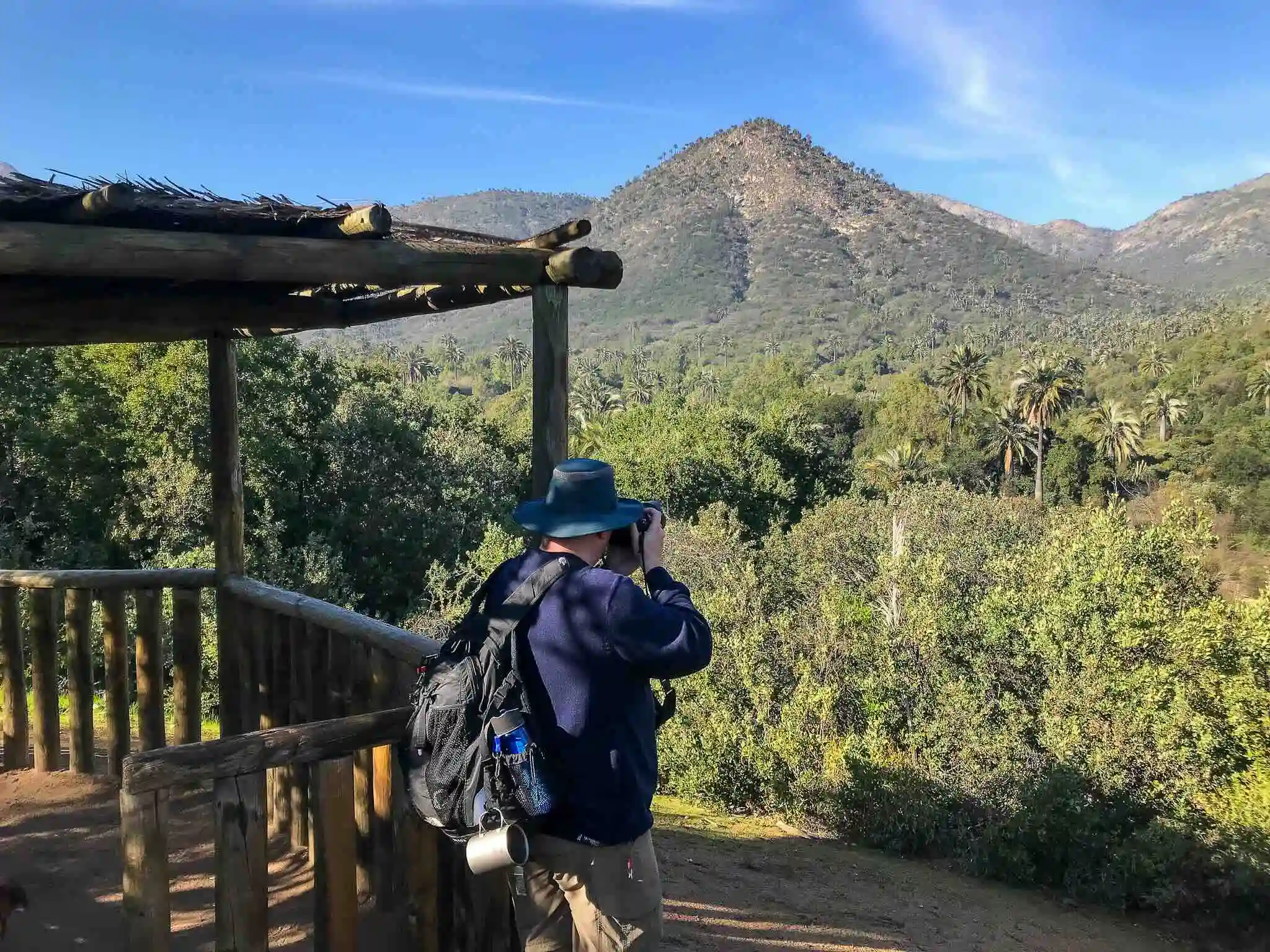 tour-parque-la-campana-ecordua - la campana national park hiking tour chile