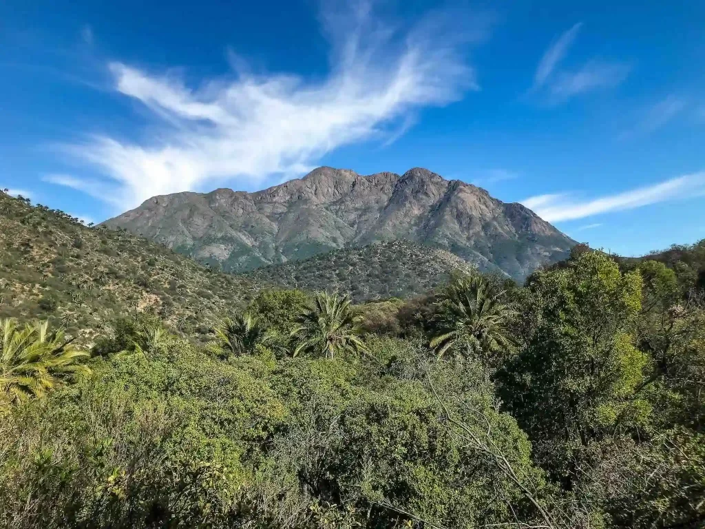 tour-parque-la-campana-ecordua - la campana national park hiking tour chile