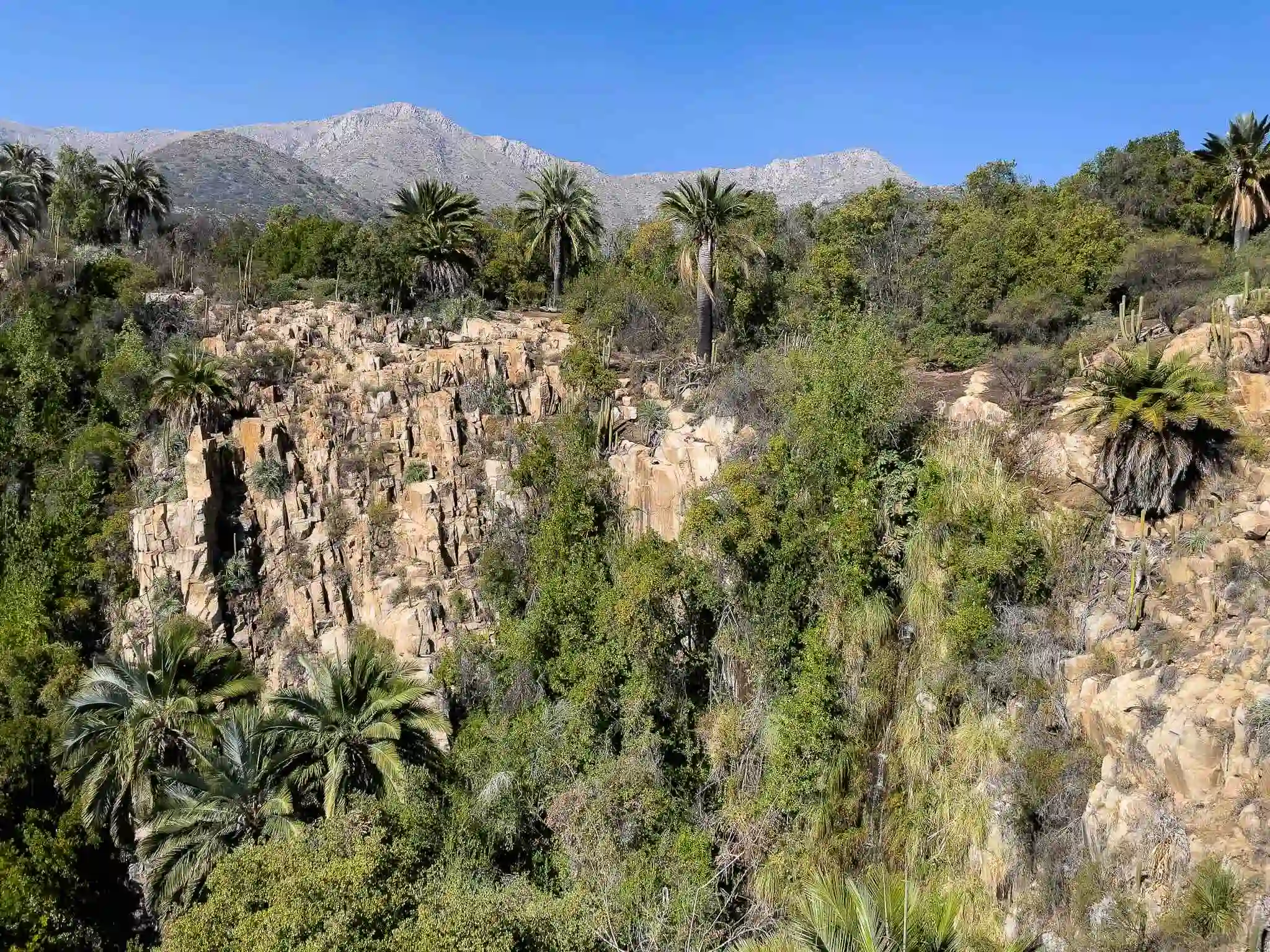 tour-parque-la-campana-ecordua - la campana national park hiking tour chile