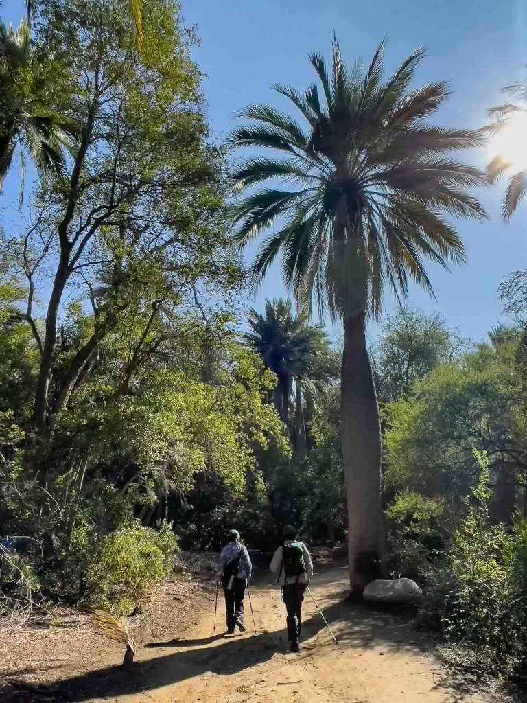 tour-parque-la-campana-ecordua - la campana national park hiking tour chile