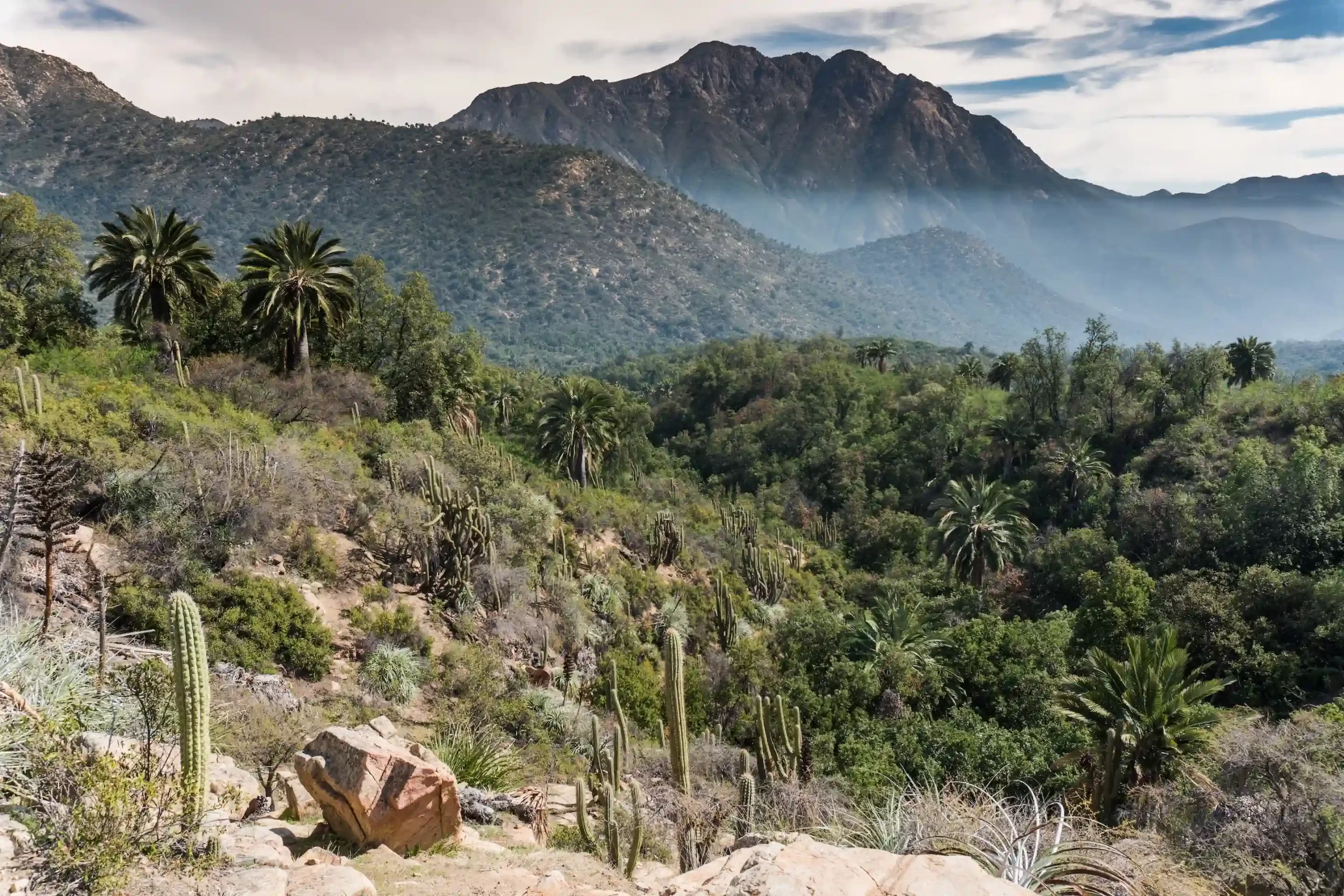 La Campana National Park Tour Nature Hiking Experience