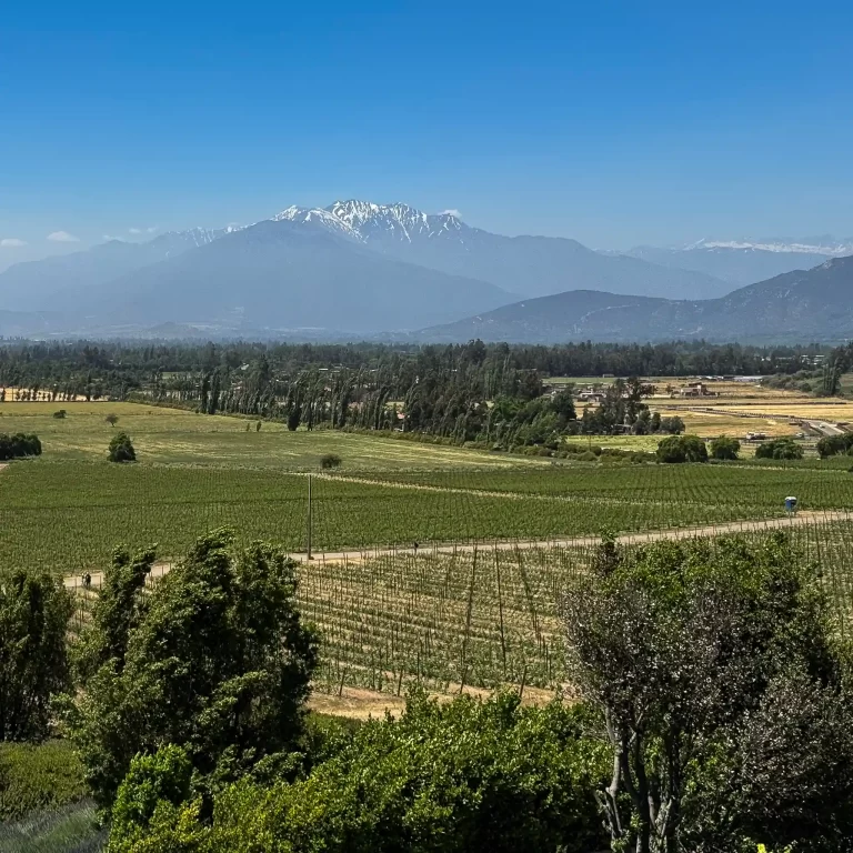 viña haras de pirque tour