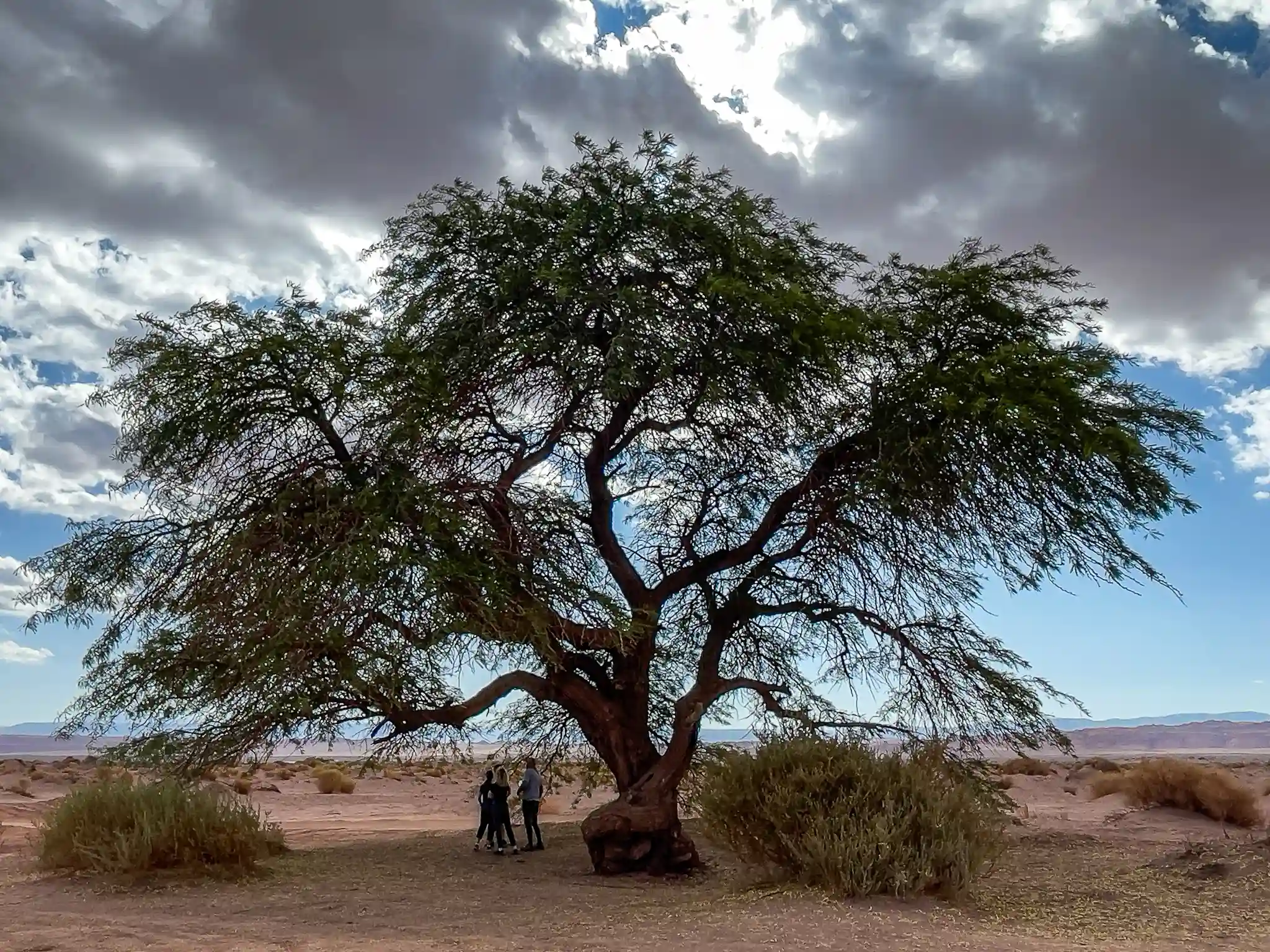 tour cordillera de la sal - vallecito - ecordua - san pedro atacama