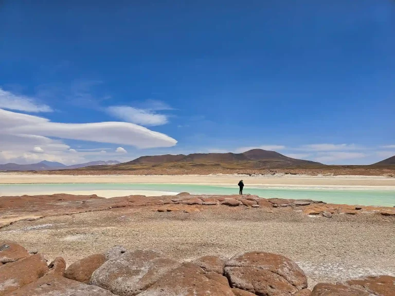 tour piedras rojas lagunas altiplanicas san pedro atacama ecordua