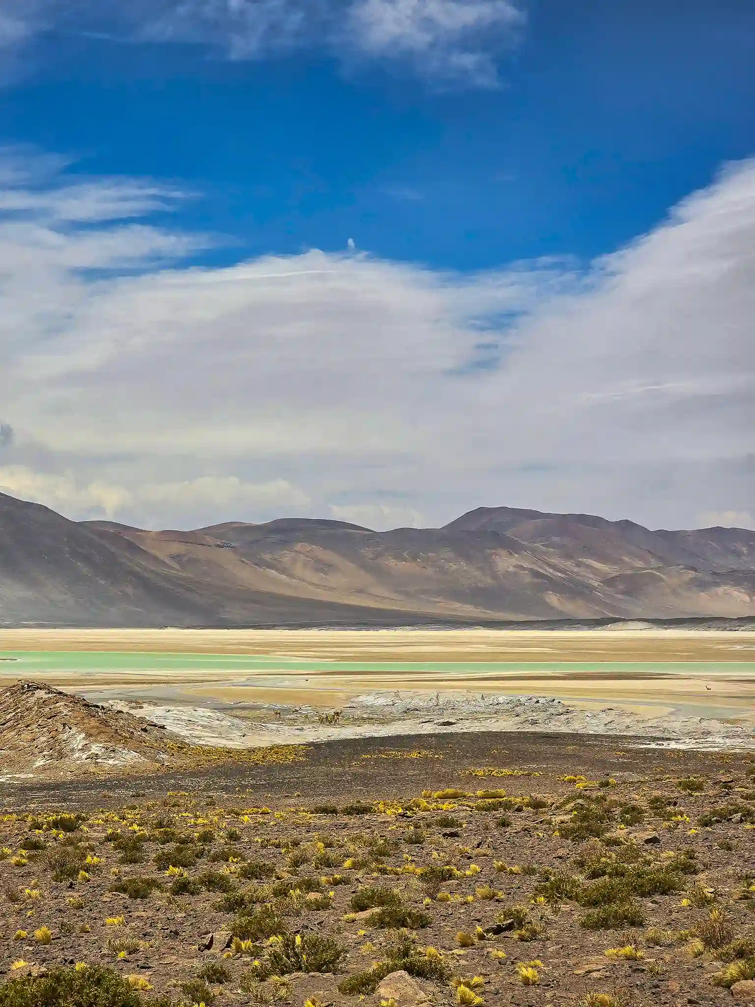 tour piedras rojas lagunas altiplanicas san pedro atacama ecordua