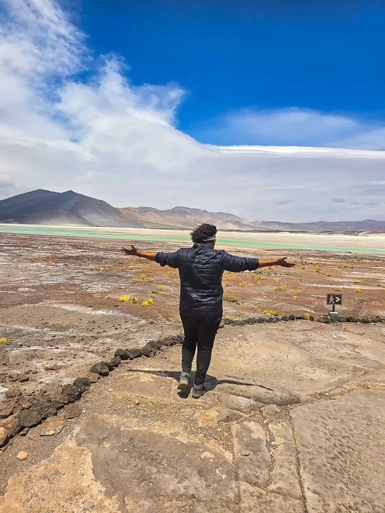 tour piedras rojas lagunas altiplanicas san pedro atacama ecordua