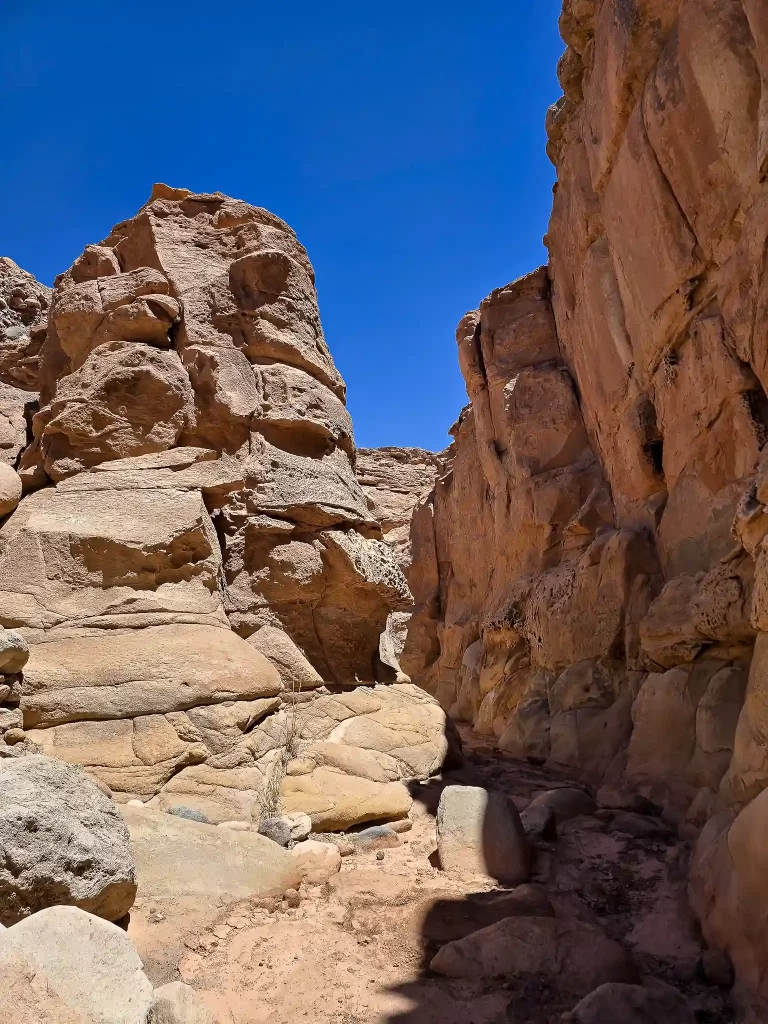 ruta del agua rio salado trekking san pedro atacama ecordua tour