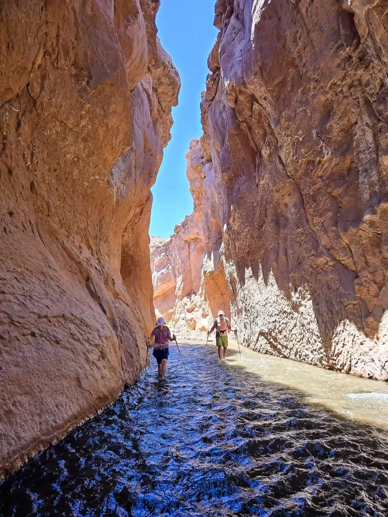 ruta del agua rio salado trekking san pedro atacama ecordua tour