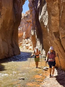 ruta del agua rio salado trekking san pedro atacama ecordua tour