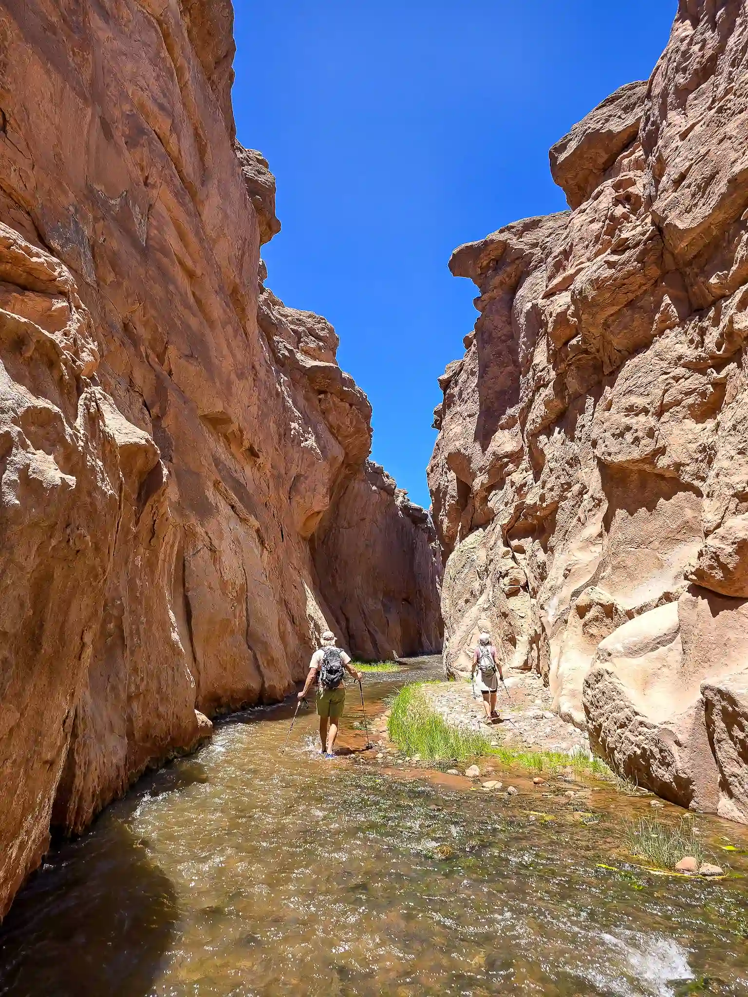 ruta del agua rio salado trekking san pedro atacama ecordua tour