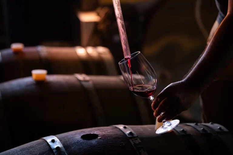 carmenere wine tour ecordua chile