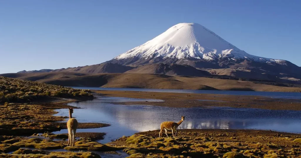 Parque Nacional Lauca Ecordua