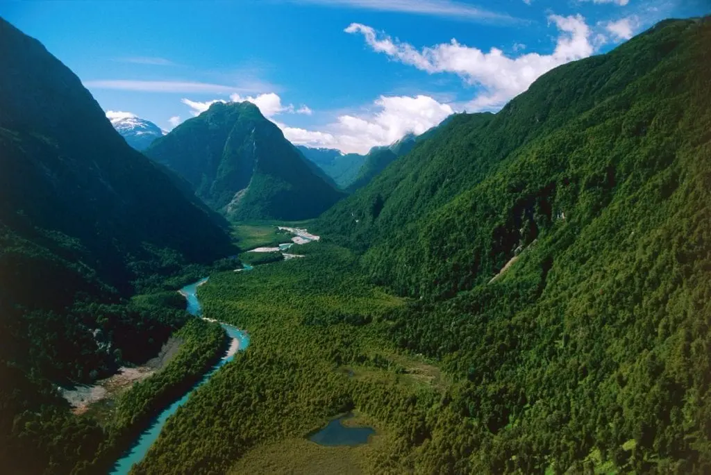 Pumalín Ecordua