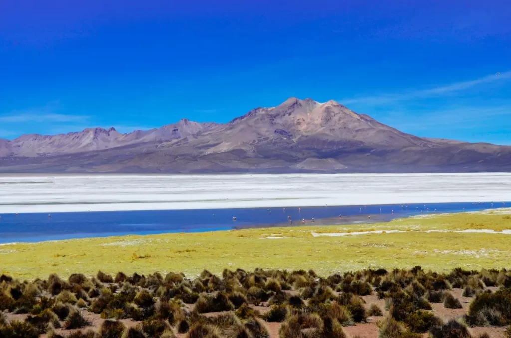 Salar de Surire Ecordua