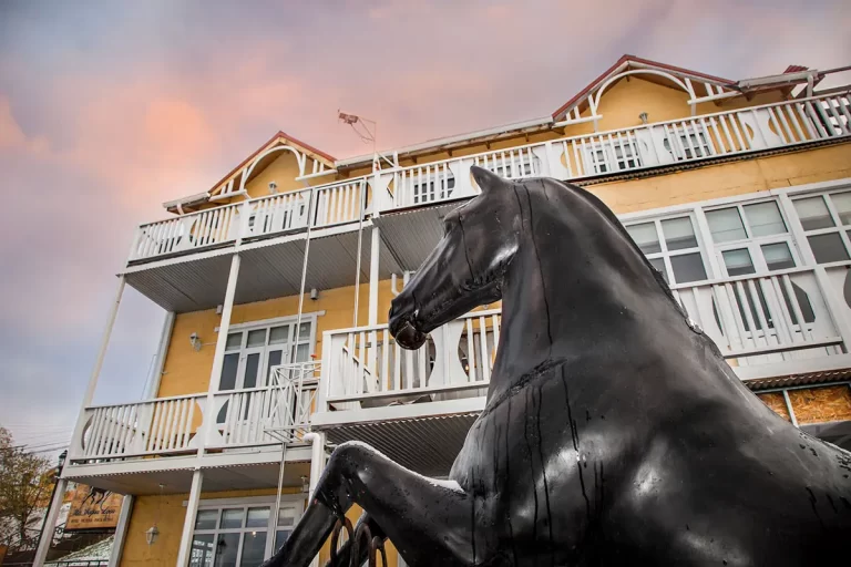 hotel-la-yegua-loca-punta-arenas-ecordua1