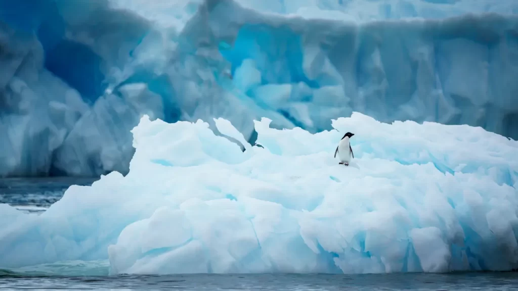 antarctica-21-air-cruise-ecordua