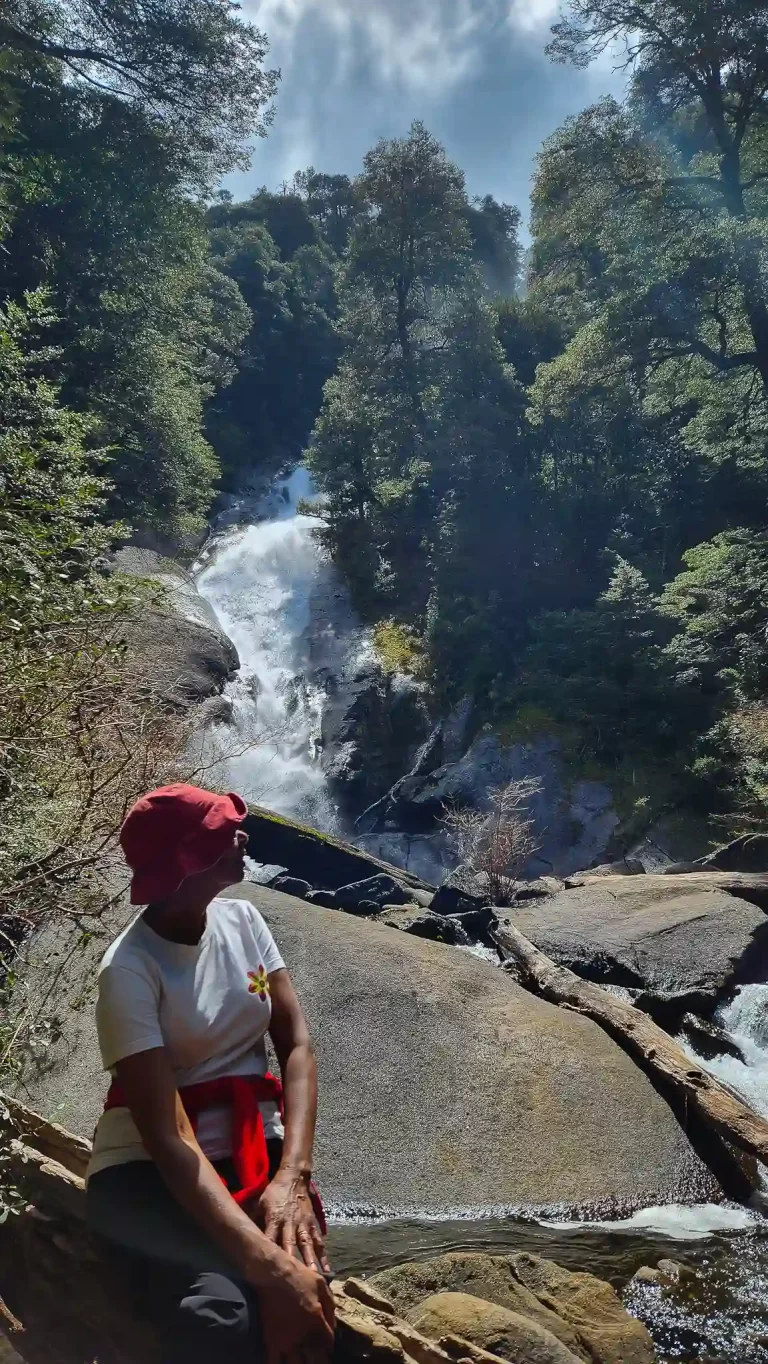 pucon full day hiking tour chile ecordua