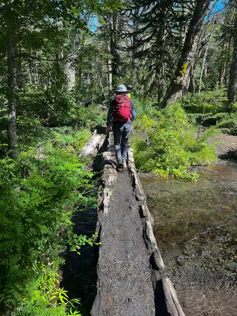 pucon full day hiking tour chile ecordua