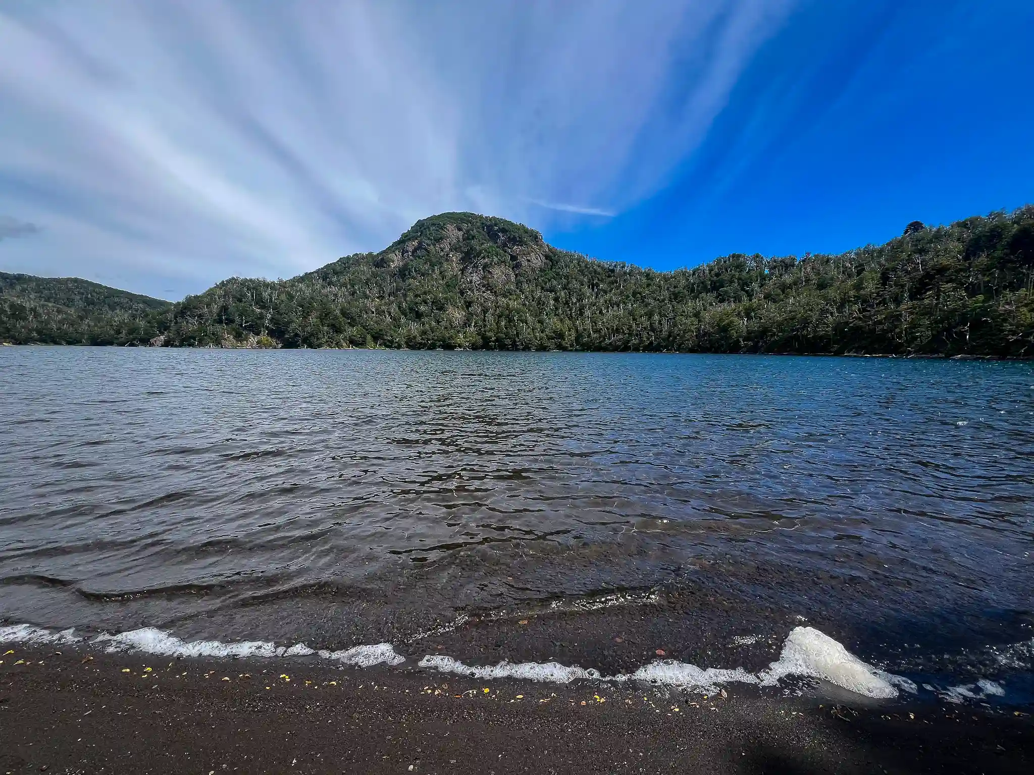Pucón Hiking Tour – Araucaria Forests, Lakes & Volcano Views