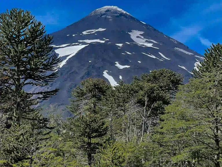 pucon full day hiking tour chile ecordua