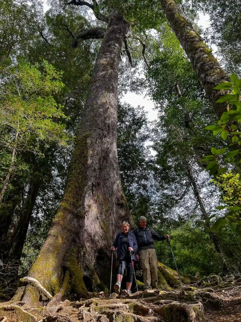 pucon full day hiking tour chile ecordua