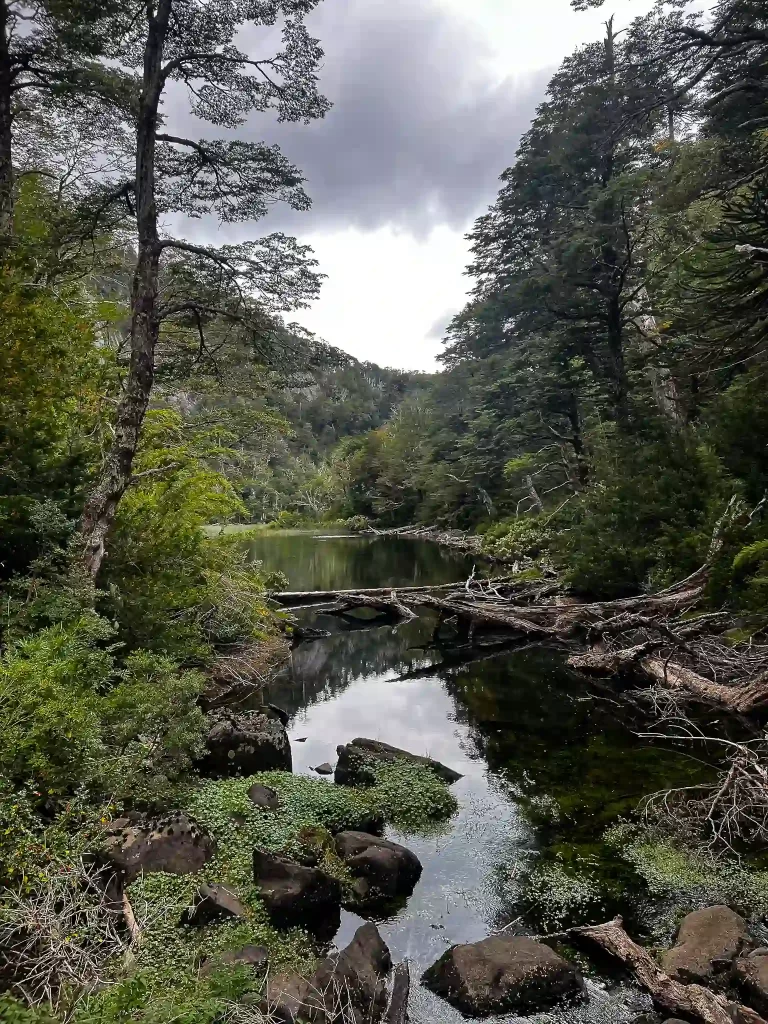 pucon full day hiking tour chile ecordua