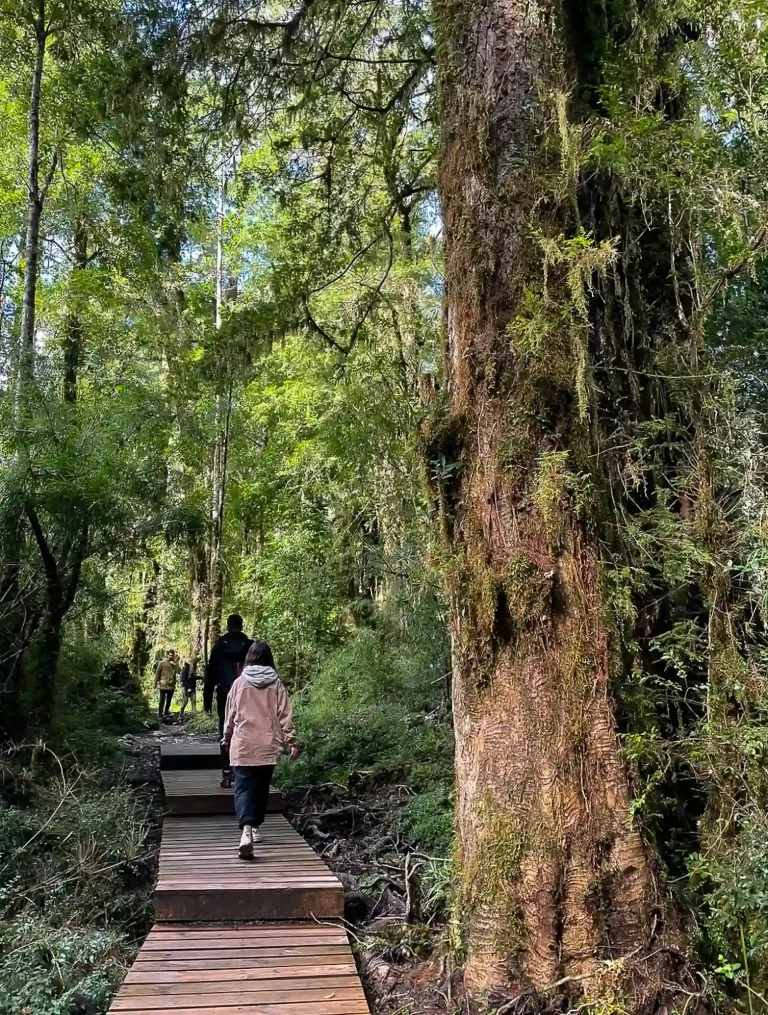 full day activo puerto varas trekking ecordua