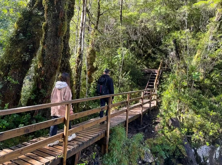 full day activo puerto varas trekking ecordua