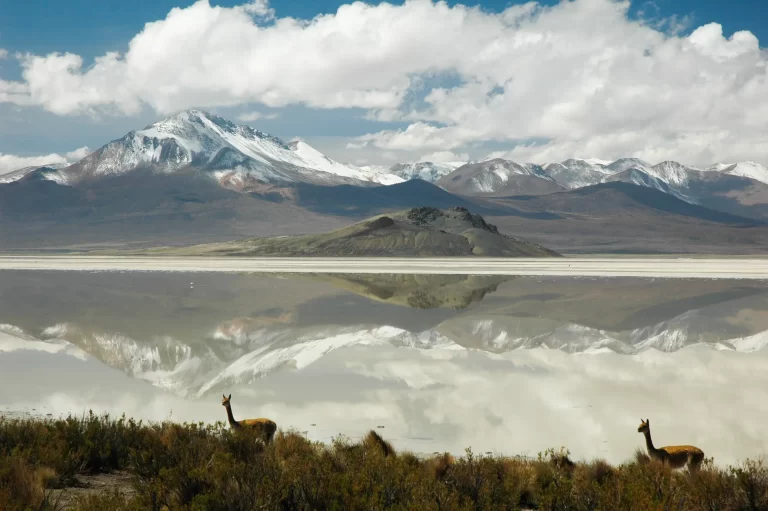 viaje altiplano chile ecordua trip private tour