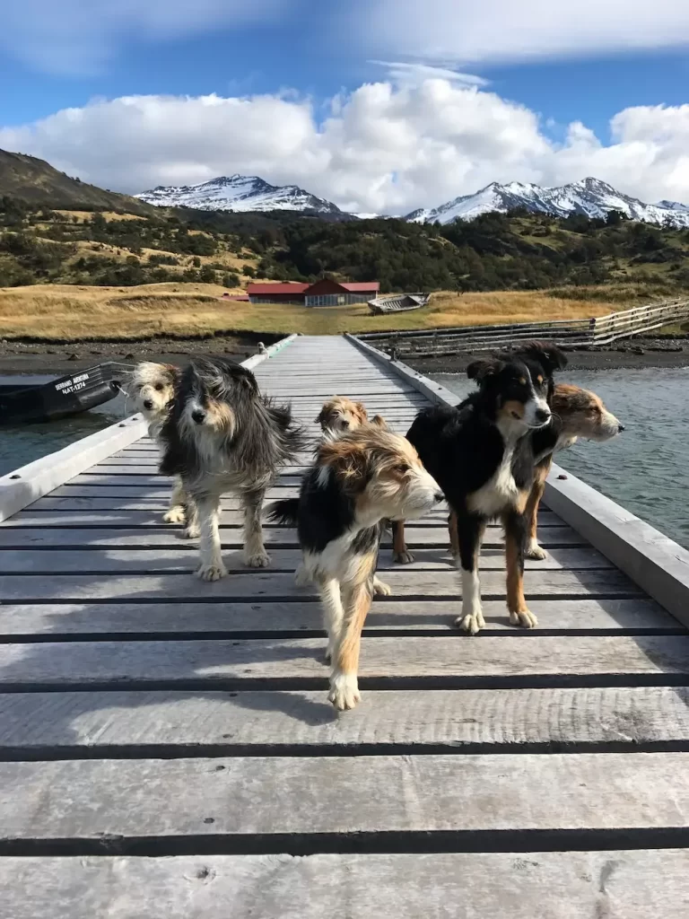 full-day-estancia-la-peninsula-ecordua15