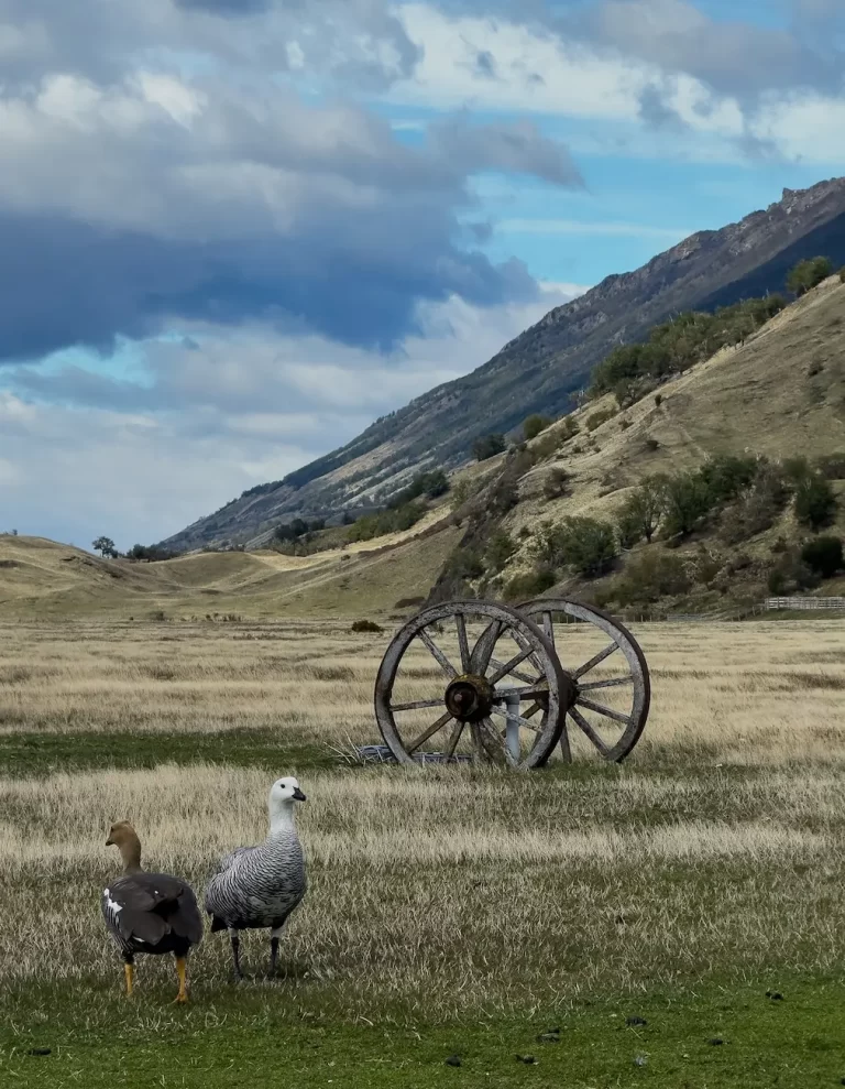 full-day-estancia-la-peninsula-ecordua15